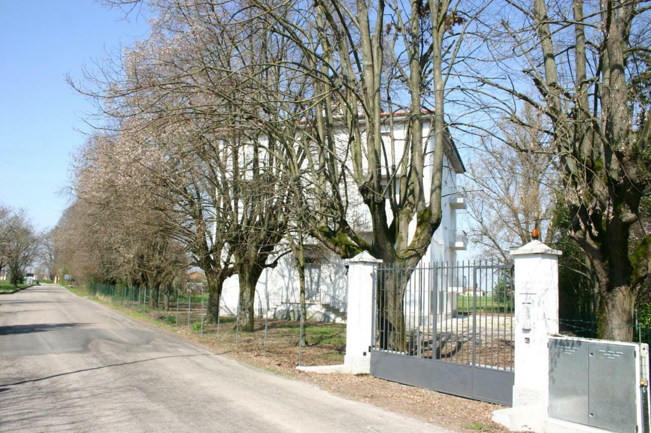 Villa Dei Tigli San Vicenzo di Galliera Exteriér fotografie